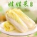 青硕菜种子宝娃1号娃娃菜种子娇小玲珑小颗型娃娃菜种籽春秋