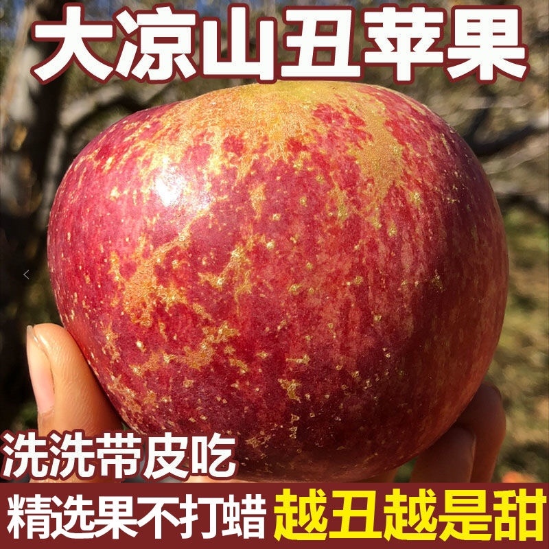 大凉山冰糖心丑苹果支持各大平台一件代发社区团购