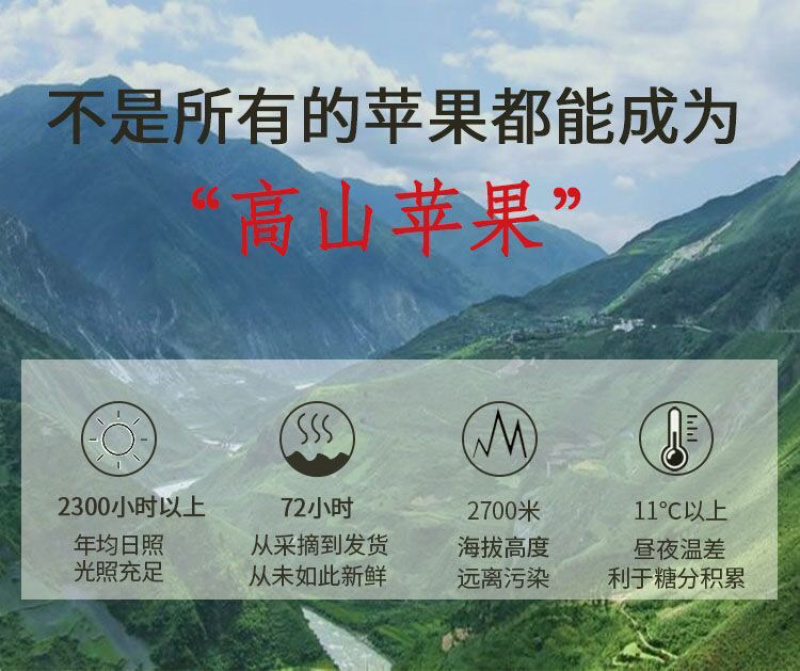 大凉山冰糖心丑苹果支持各大平台一件代发社区团购