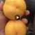 精品中油十九