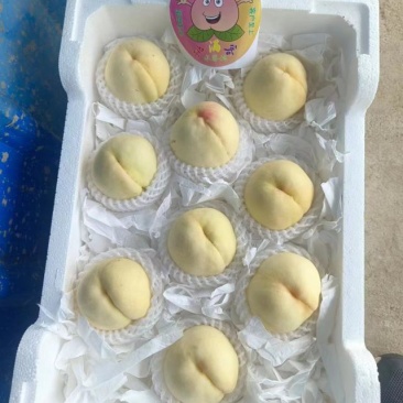 新沂水蜜桃