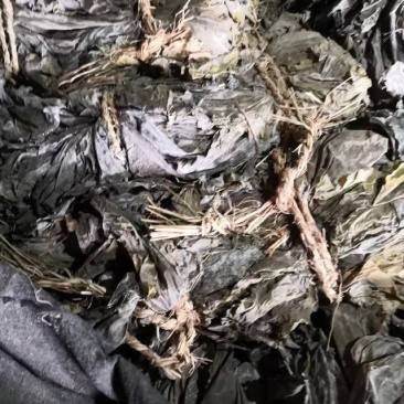 大连干海带人工养植无污染口感好保证质量。欢迎各位老板的合