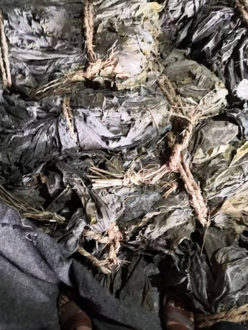 大连干海带人工养植无污染口感好保证质量。欢迎各位老板的合