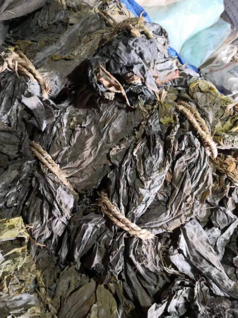 大连干海带人工养植无污染口感好保证质量。欢迎各位老板的合