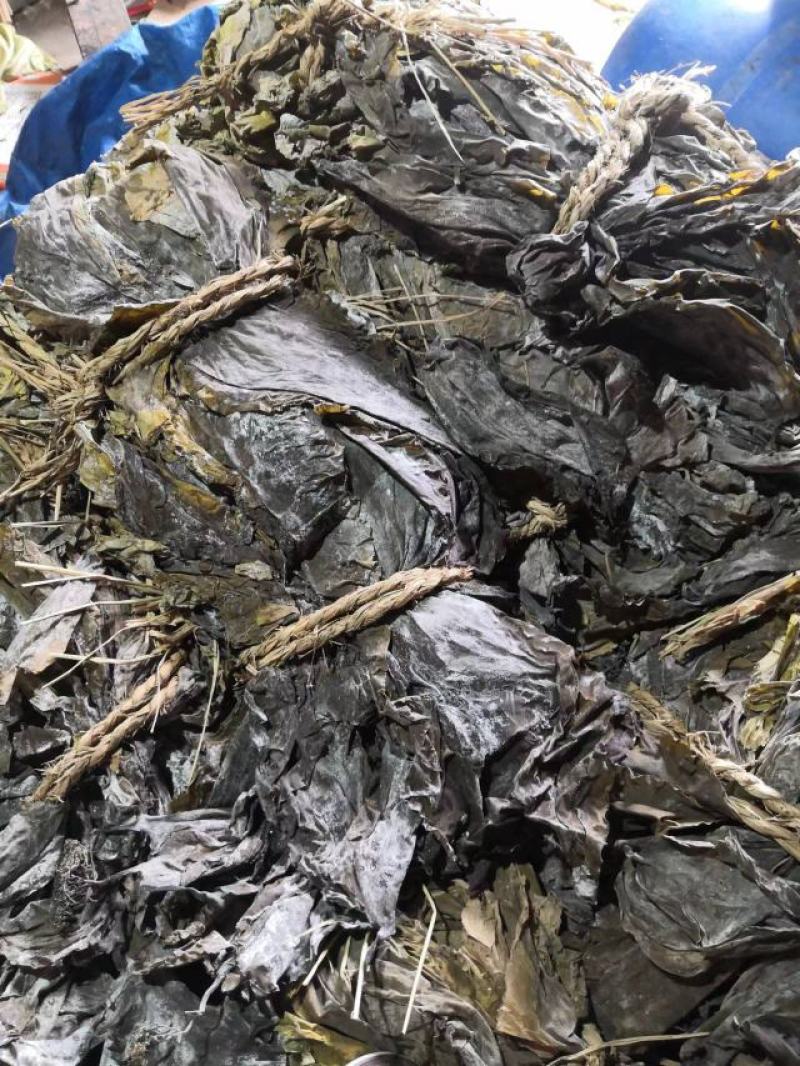 大连干海带人工养植无污染口感好保证质量。欢迎各位老板的合