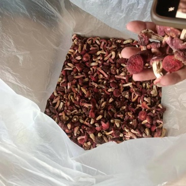 缅甸红菇干货各规格