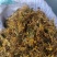 贵州野生金银花，大量供应质量保证欢迎采购合作共赢