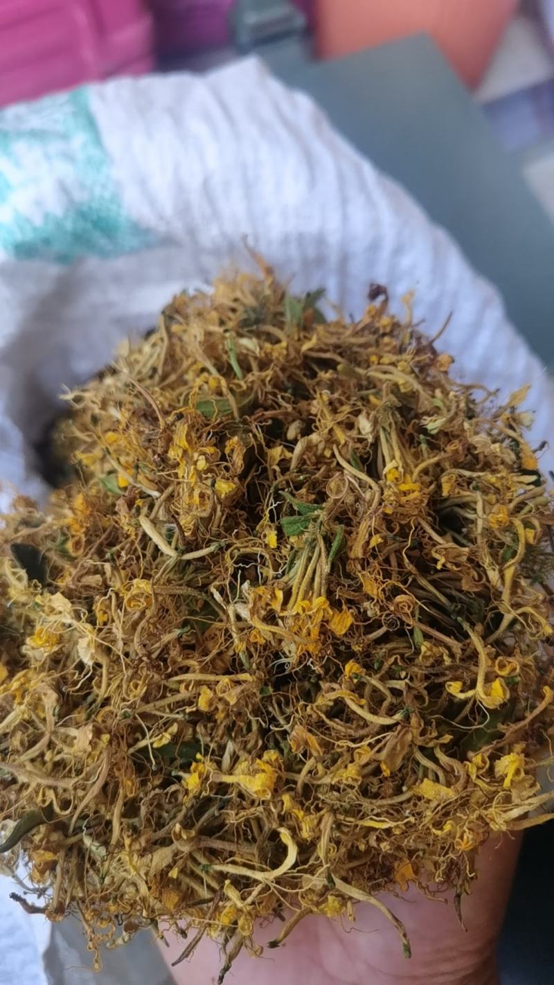 贵州野生金银花，大量供应质量保证欢迎采购合作共赢