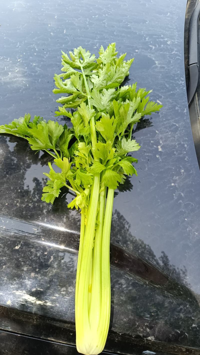 芹菜，西芹