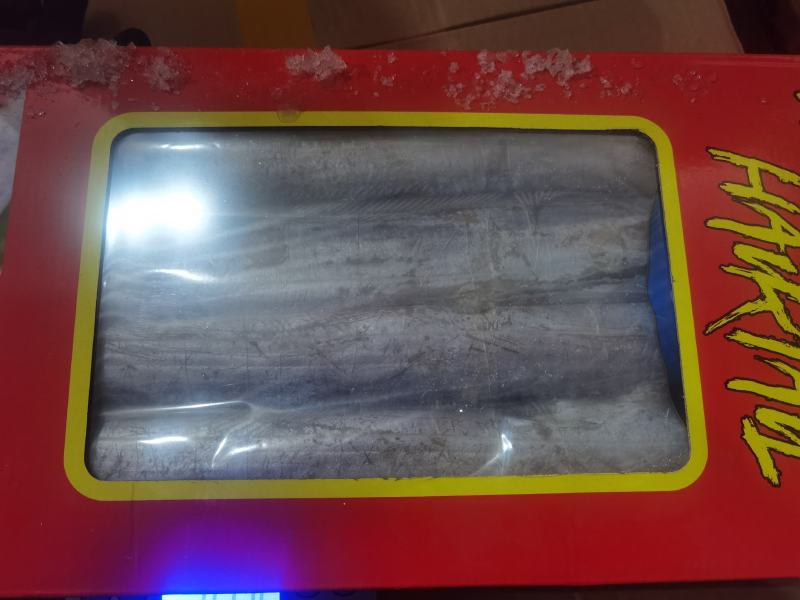 舟山带鱼带鱼礼品带鱼礼盒开窗包装带鱼礼盒带鱼段