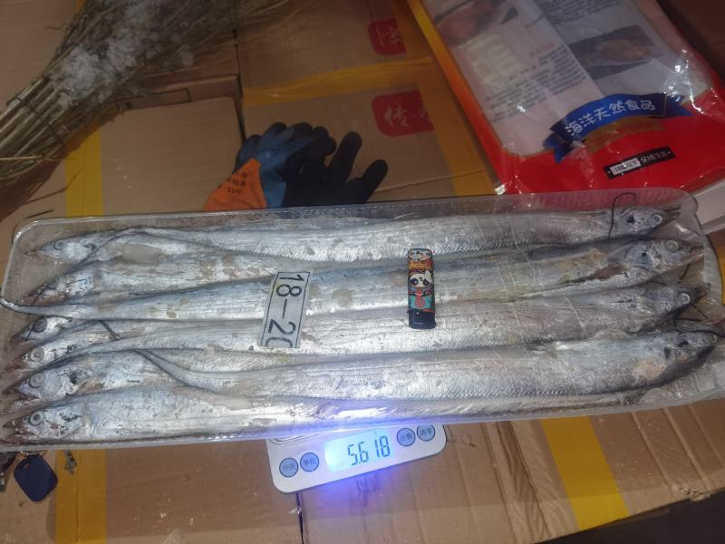 舟山带鱼带鱼礼品带鱼礼盒开窗包装带鱼礼盒带鱼段