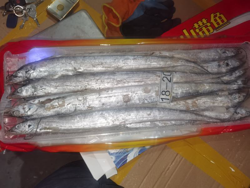 舟山带鱼带鱼礼品带鱼礼盒开窗包装带鱼礼盒带鱼段