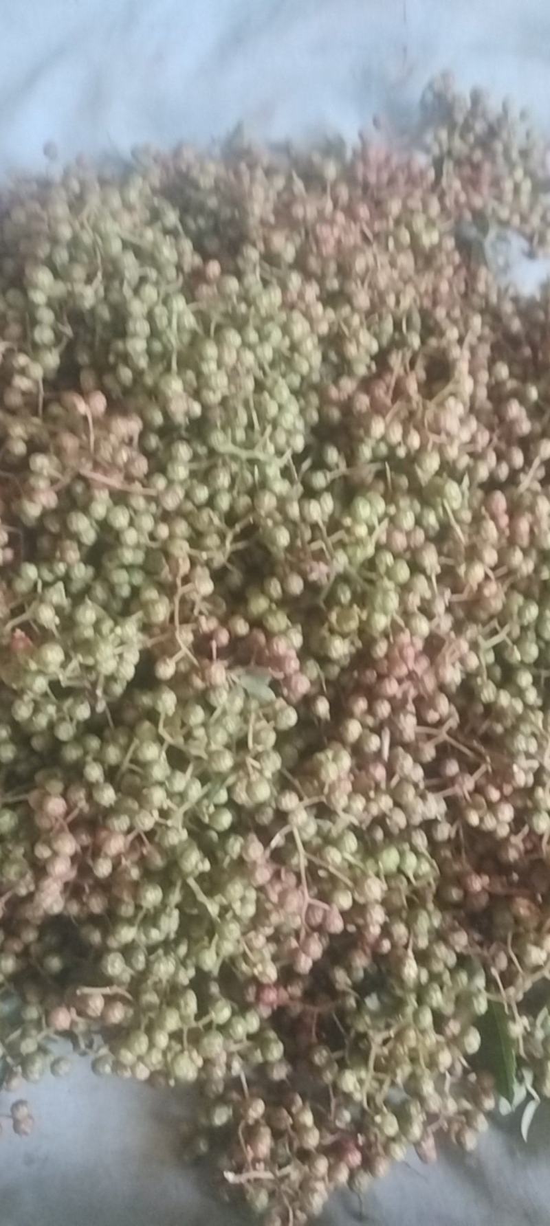 湖北郧西花椒酱，香麻可口纯正无假