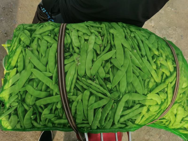 无斑无锈的大油豆