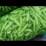 无斑无锈的大油豆