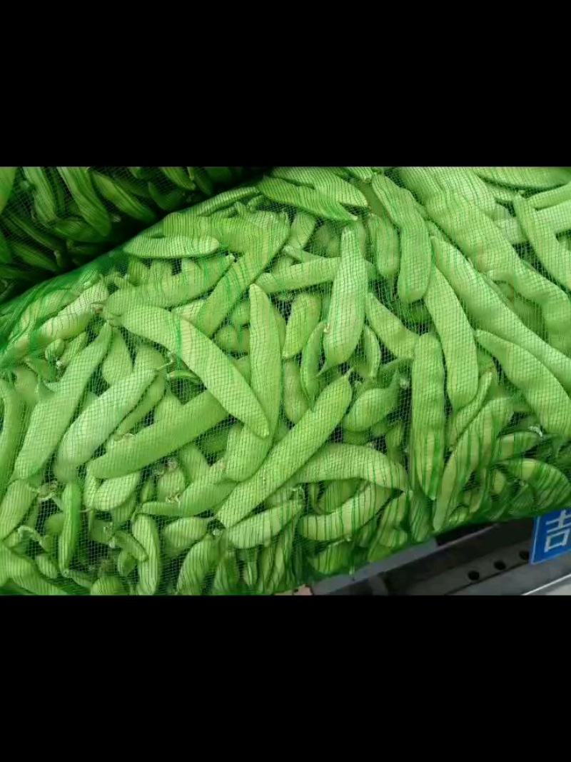 无斑无锈的大油豆