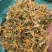 贵州银花之乡，金银花花茶、香味浓郁、品质保证、产地直供。