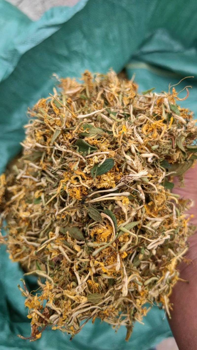 贵州银花之乡，金银花花茶、香味浓郁、品质保证、产地直供。