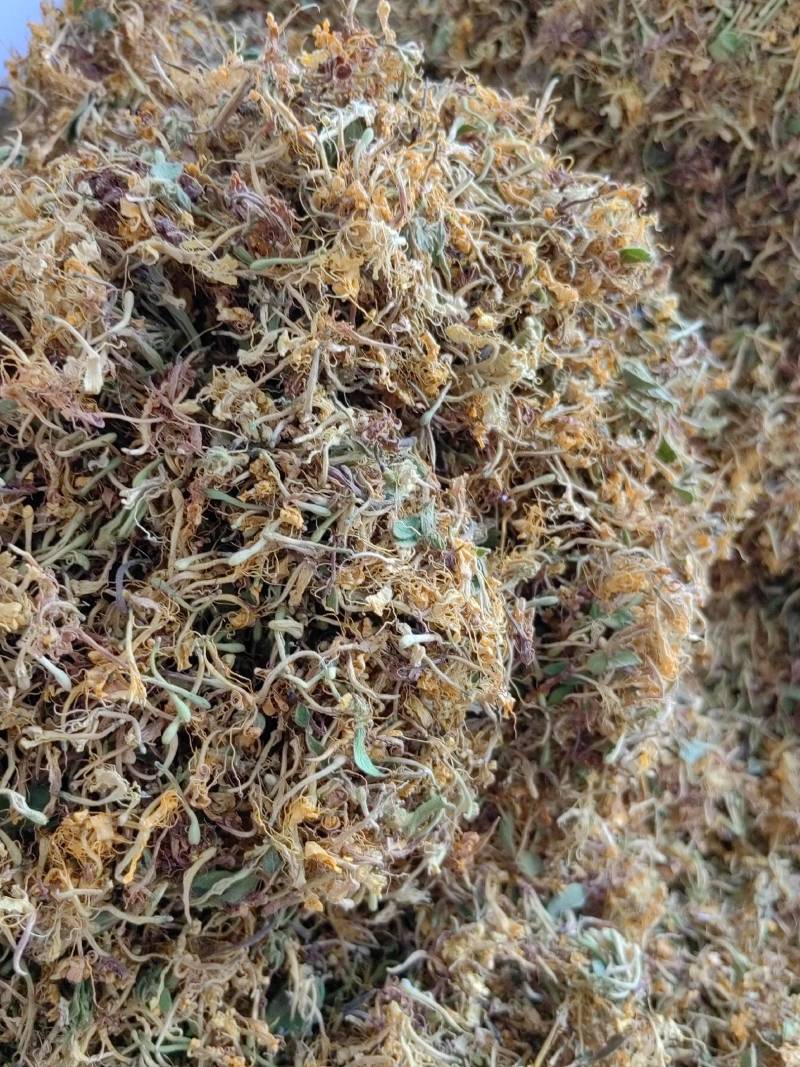 贵州银花之乡，金银花花茶、香味浓郁、品质保证、产地直供。