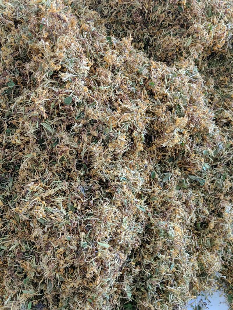 贵州银花之乡，金银花花茶、香味浓郁、品质保证、产地直供。