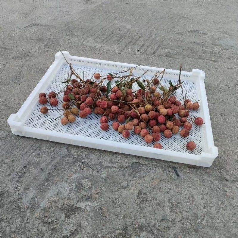 食品白色塑料筐耐高温药材烘干盘茶叶玫瑰花晾晒托盘烘烤盘