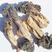 木耳蘑形似(新疆巴楚蘑菇)自然晒干东北特产塞罕坝