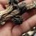 木耳蘑形似(新疆巴楚蘑菇)自然晒干东北特产塞罕坝