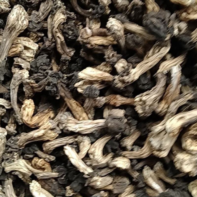 木耳蘑形似(新疆巴楚蘑菇)自然晒干东北特产塞罕坝
