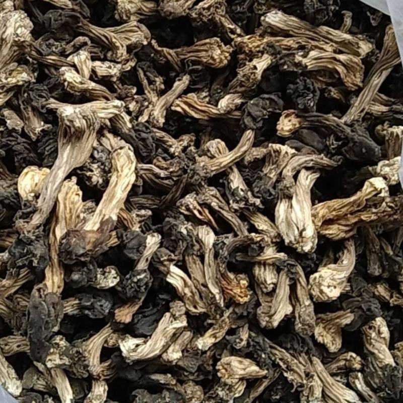 木耳蘑形似(新疆巴楚蘑菇)自然晒干东北特产塞罕坝