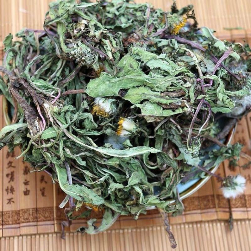 野生蒲公英整颗泡