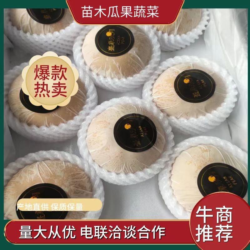 月秋梨大量上市，万亩梨园，包装齐全，供出口，精品批发，