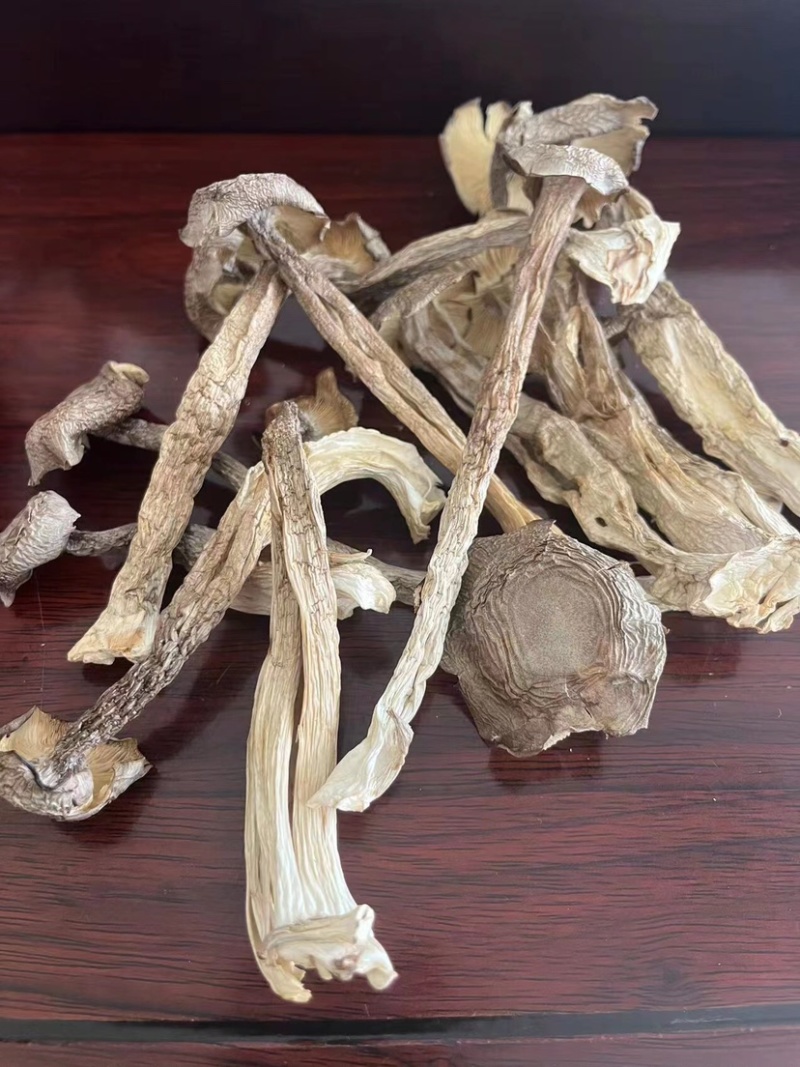 鹿茸菇味道鲜美老少皆宜有现货欢迎选购
