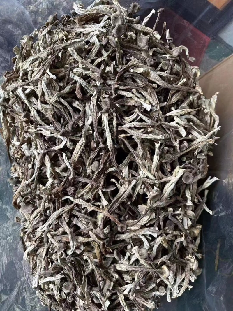 鹿茸菇味道鲜美老少皆宜有现货欢迎选购