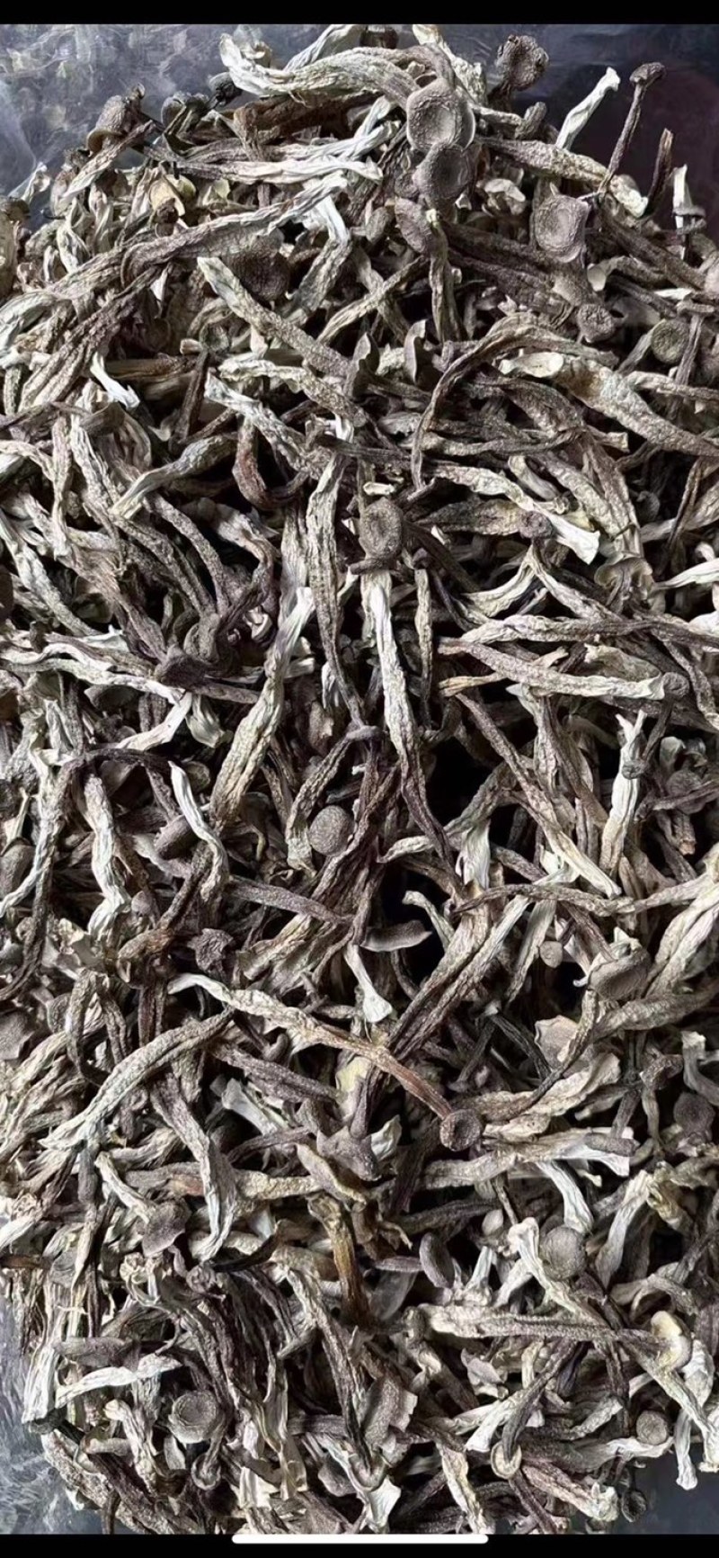 鹿茸菇味道鲜美老少皆宜有现货欢迎选购