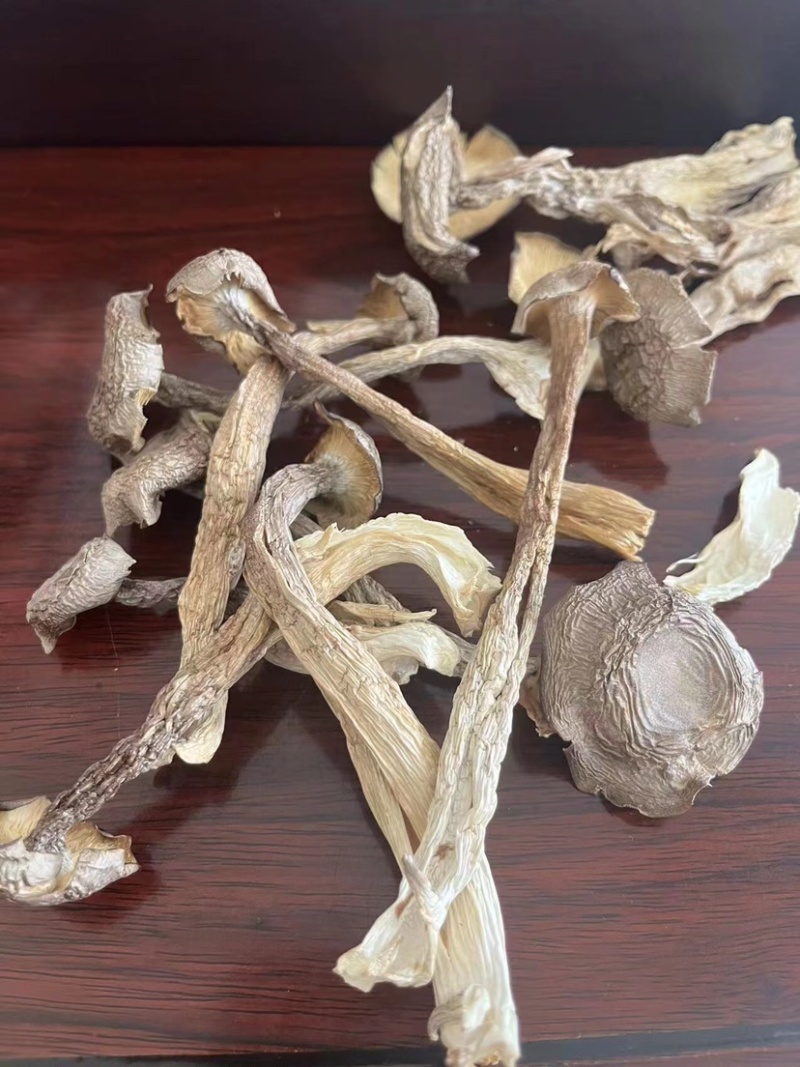 鹿茸菇味道鲜美老少皆宜有现货欢迎选购
