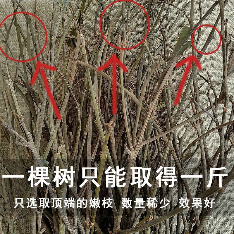 野生桂枝尖正品野生桂枝尖仲景古方桂枝汤新货广西道地中药材