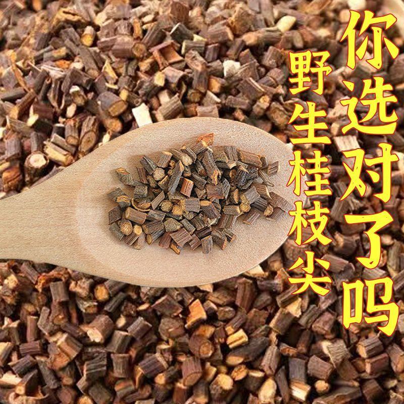 野生桂枝尖正品野生桂枝尖仲景古方桂枝汤新货广西道地中药材