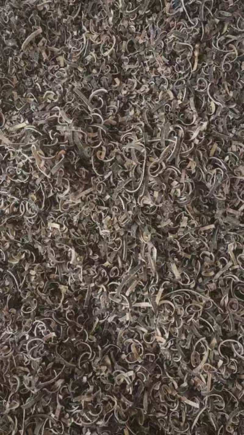 合欢皮大量供应货源充足量大从优可全国发货欢迎咨询