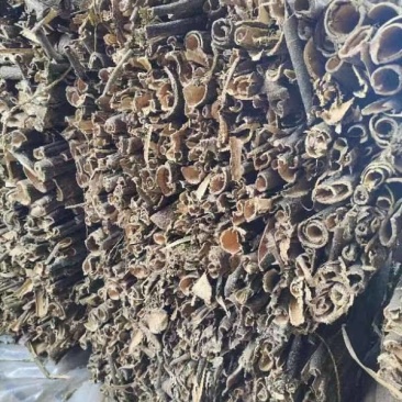 合欢皮大量供应货源充足量大从优可全国发货欢迎咨询