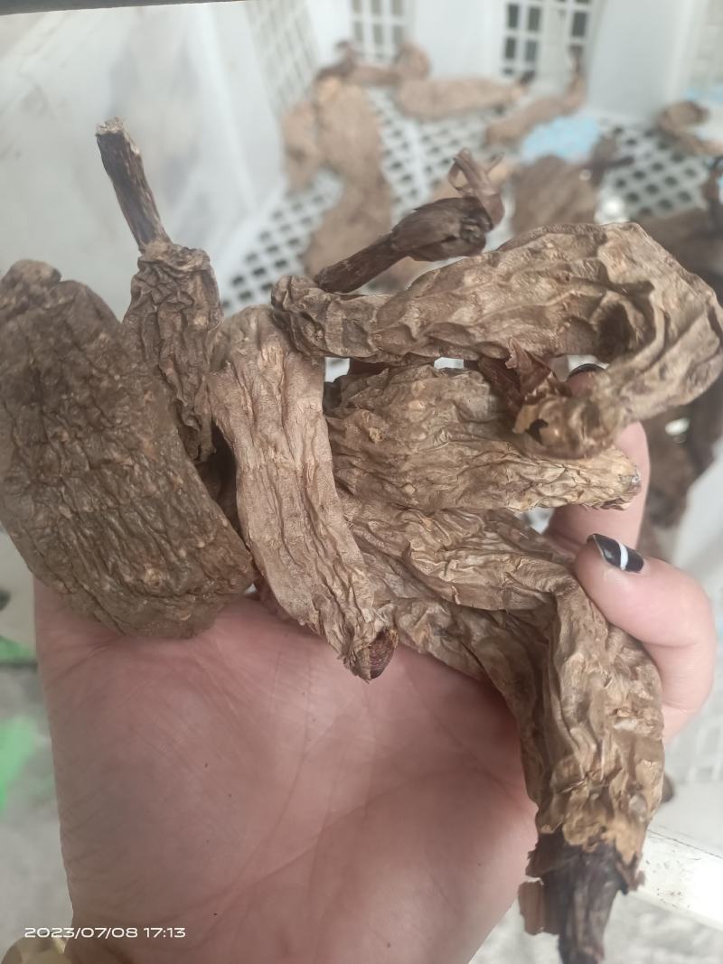 野生天麻