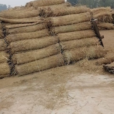批发保暖稻草草苫子大棚草帘绿化草帘草苫子稻草帘