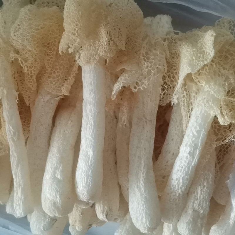 竹荪是食用菌干菇，煲汤佳品，南北干货，火锅食材