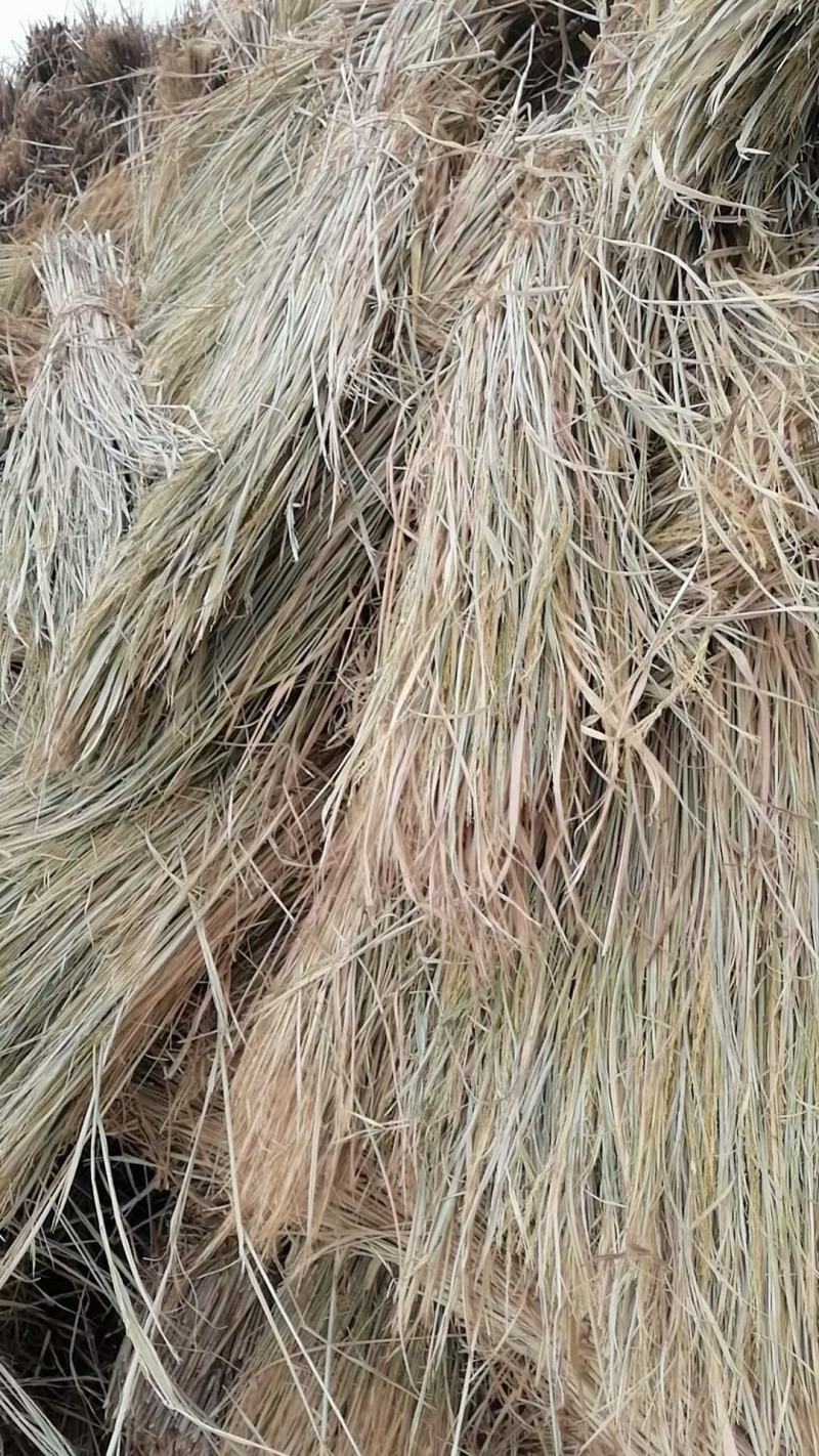 现有各种草绳，粗细规格草绳，草棒，草帘子