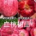 新品种全红蜜迎秋蜜桃映雪红冬桃树苗早熟晚熟桃苗特大品种等