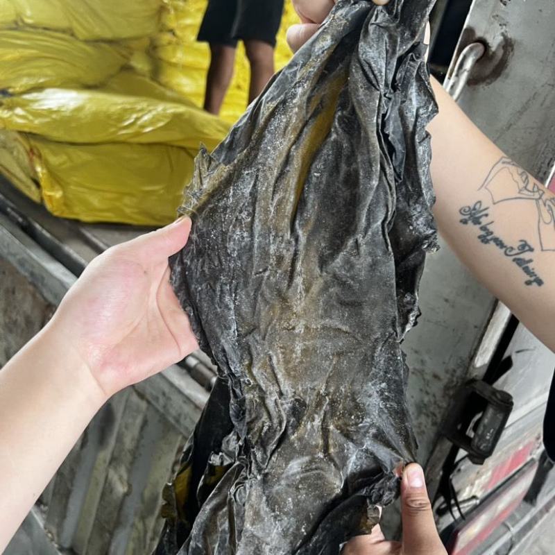 海带皮干货海带皮基地直发江湖地摊海带皮批发