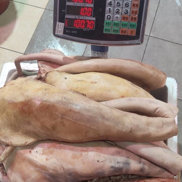 黄牛尾