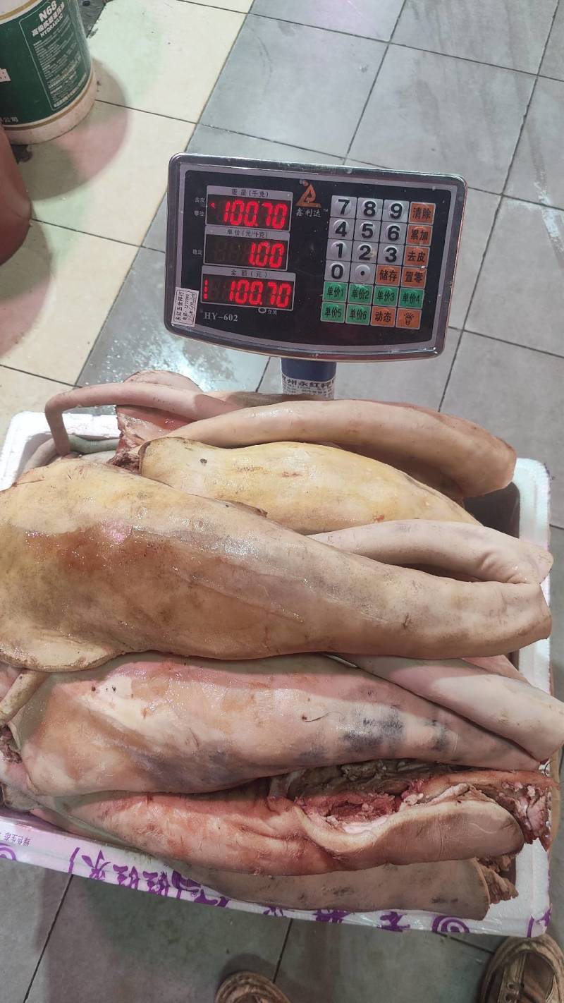 黄牛尾