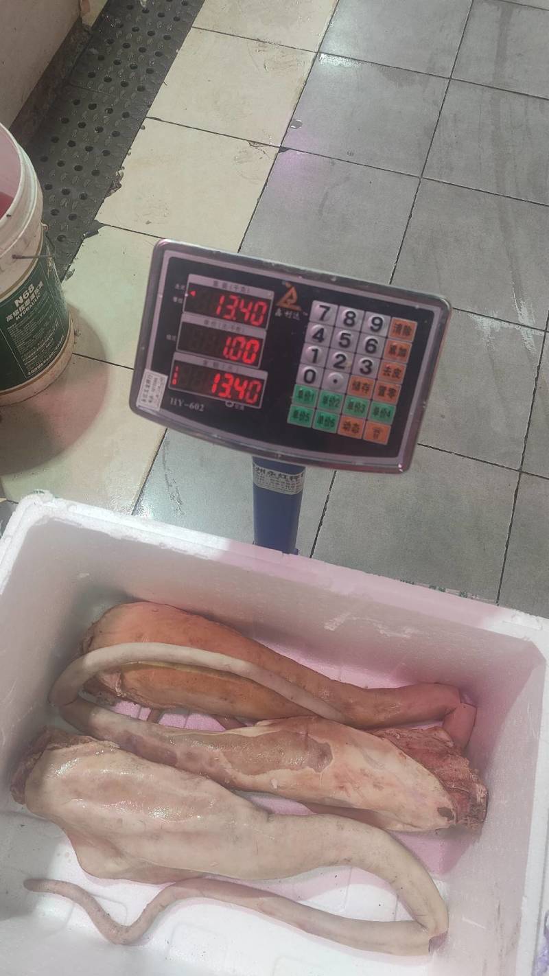 黄牛尾