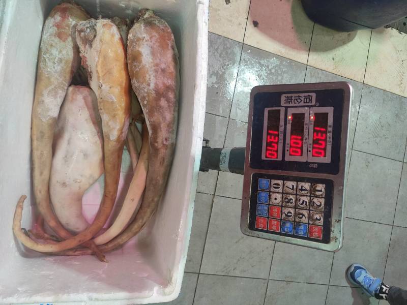 黄牛尾