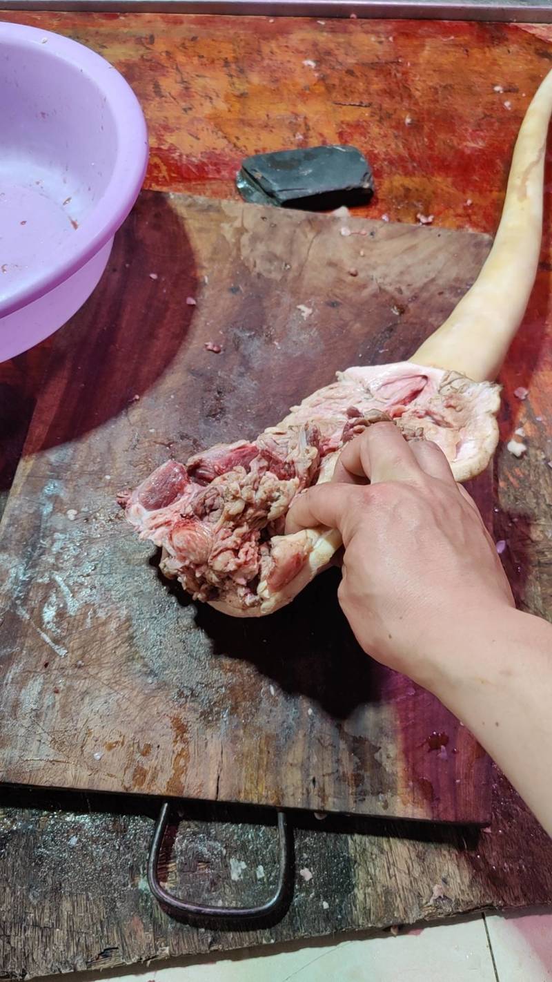 黄牛尾